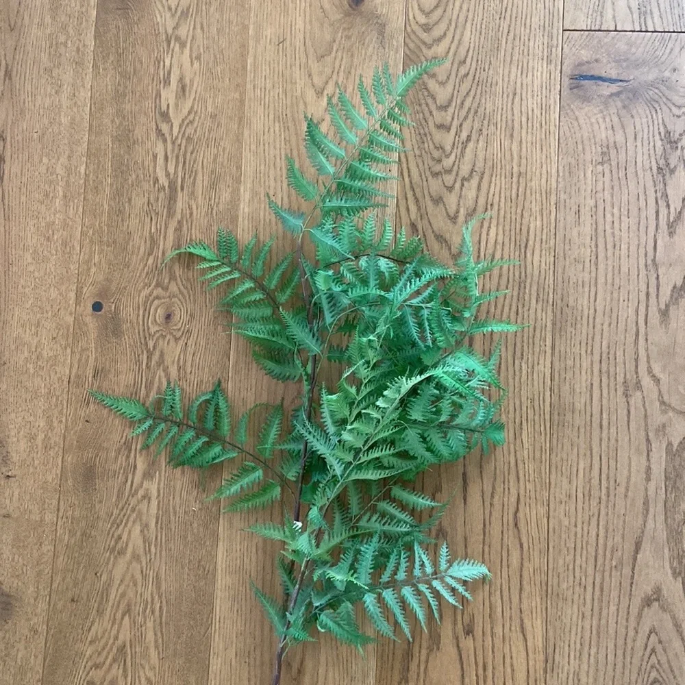 Faux Fern Stems